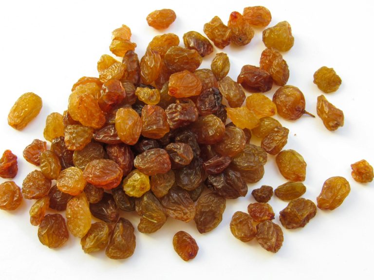زبيب